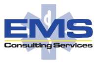 Ems consulting services