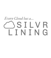 Silvr lining group