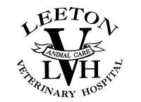 Leeton veterinary hospital