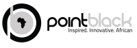 Point black consult (pty) ltd south africa