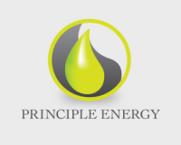 Principle energy services