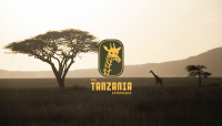 Tanzania-experience