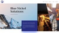 Blue nickel solutions