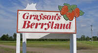 Grayson's Berryland