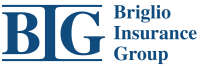 Brindle Insurance Group Inc.