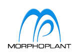 Morphoplant gmbh