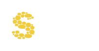 Startup junkie