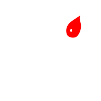 Stein oil company