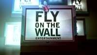 Fly on the wall entertainment