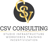 Csv consulting