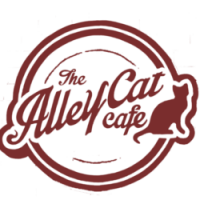 Alley cat cafe